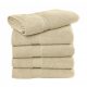 Seine Hand Towel 50x100 cm