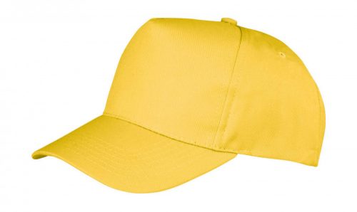 Boston 5-Panel Printers Cap