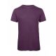 Triblend/men T-Shirt