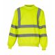 Fluo Sweatshirt