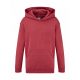 Kids Classic Hooded Sweat