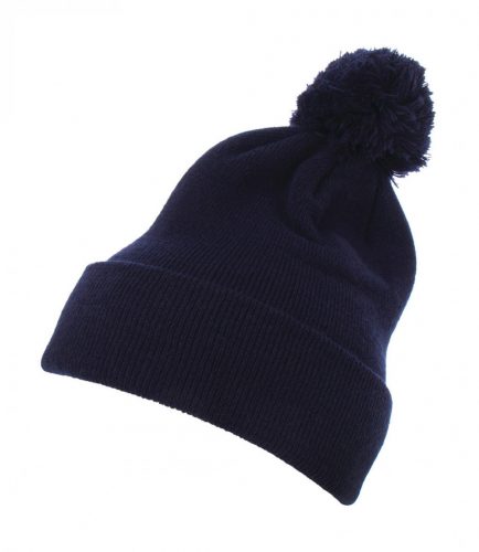 Cuffed Pom Pom Knit Beanie