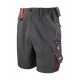 Work-Guard Technical Shorts